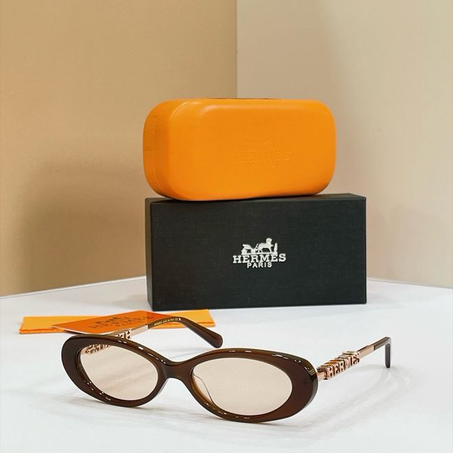 Hermes Sunglasses 821521-1