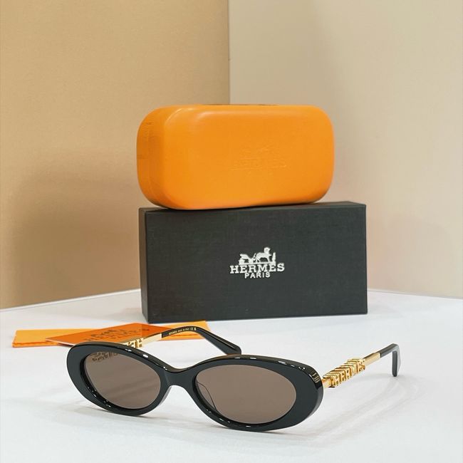 Hermes Sunglasses 821521-5