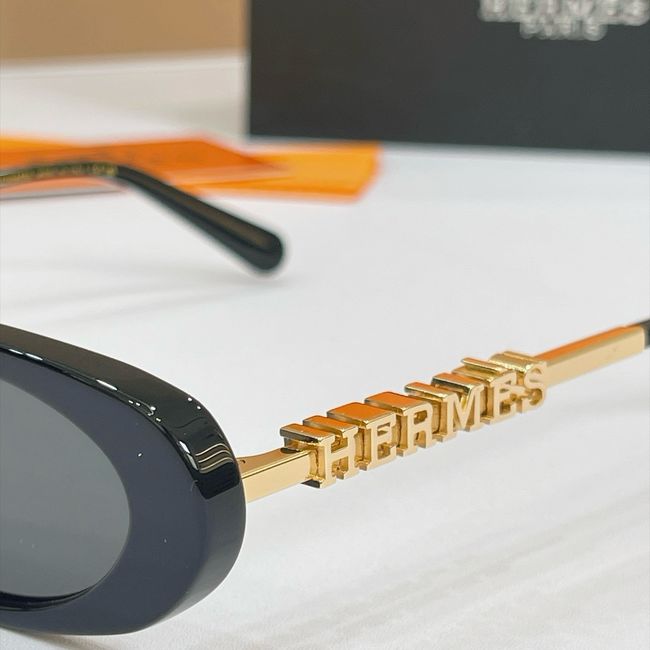Hermes Sunglasses 821521-7