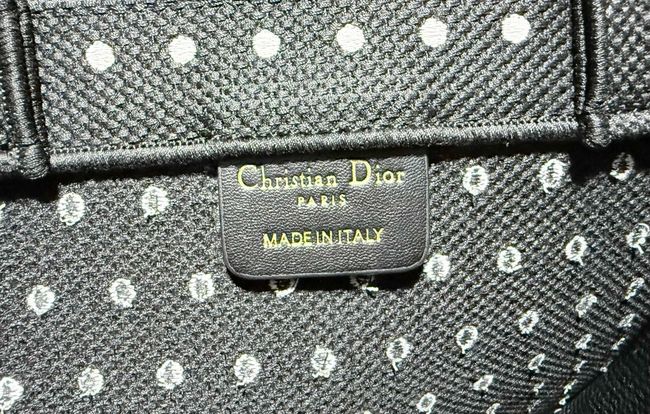 Small Dior Book Tote with Strap Embroidered M1404OE-9