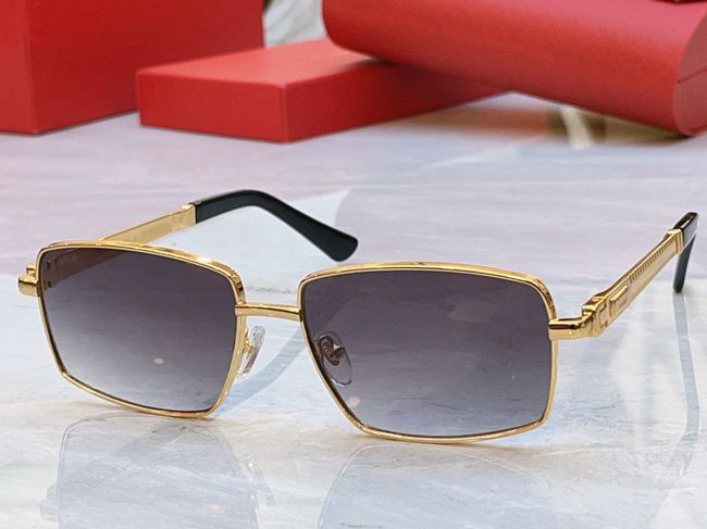 Cartier Sunglasses 821573-3