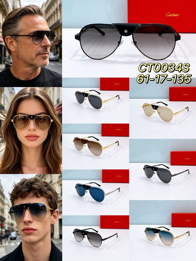 Cartier Sunglasses 821580-3