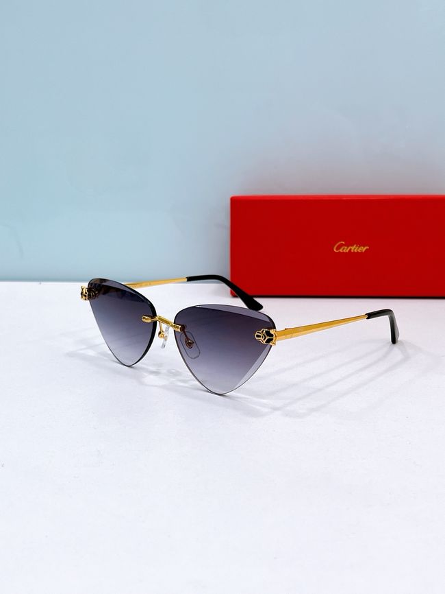 Cartier Sunglasses 821593-6