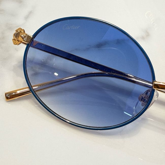 Cartier Sunglasses 821605-5 Cartier Sunglasses 821605-5
