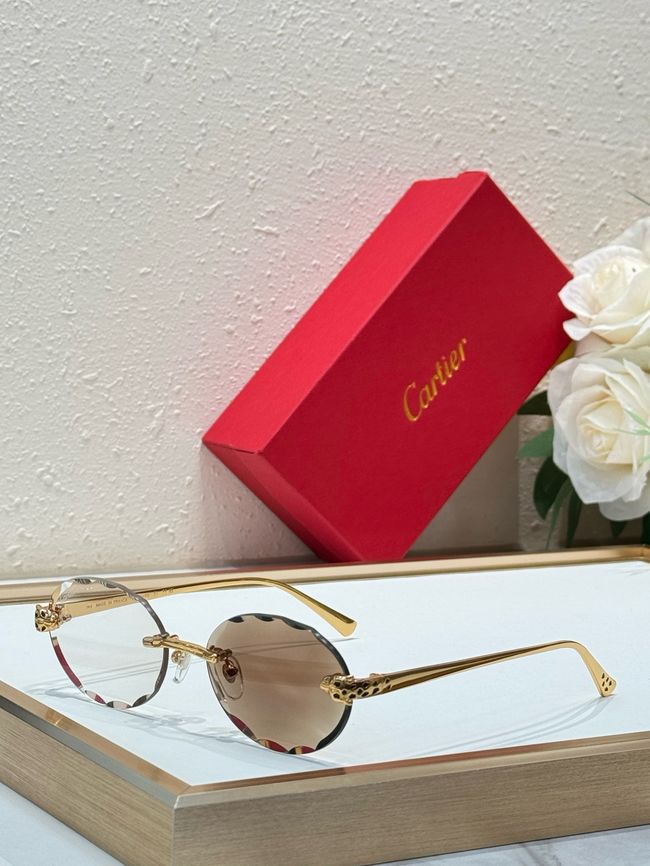 Cartier Sunglasses 821608-1