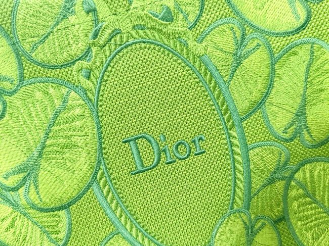 Small Dior Book Tote with Strap Embroidered M1404OE-13 Small Dior Book Tote with Strap Embroidered M1404OE-13