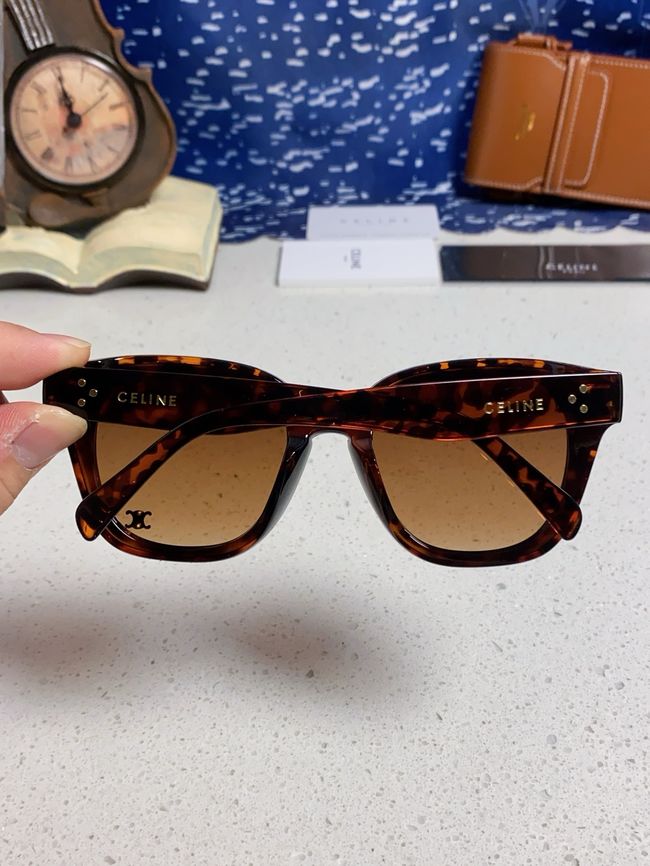 Celine Sunglasses 821622-2 Celine Sunglasses 821622-2