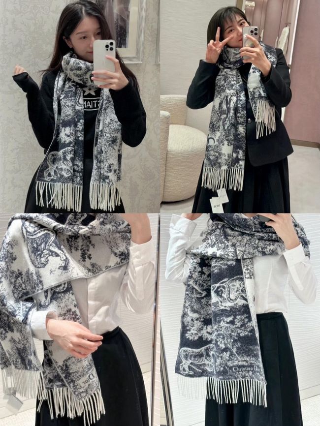 Dior cashmere scarf KY198-2 Dior cashmere scarf KY198-2