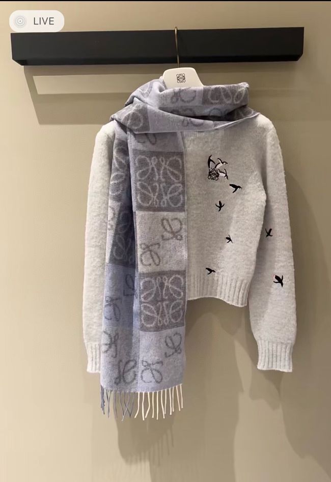 Loewe cashmere scarf 0018-1