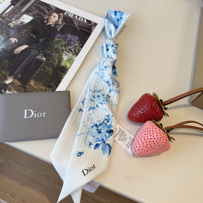Dior Printed silk twill ribbon KY211-1 Dior Printed silk twill ribbon KY211-1