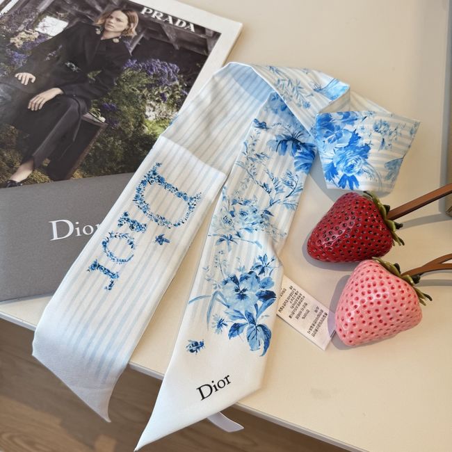 Dior Printed silk twill ribbon KY211-1 Dior Printed silk twill ribbon KY211-1