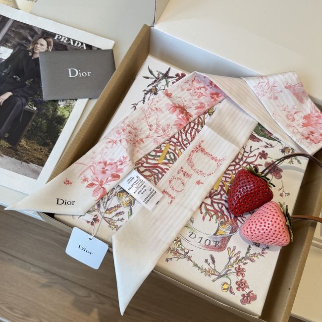 Dior Printed silk twill ribbon KY211-2 Dior Printed silk twill ribbon KY211-2