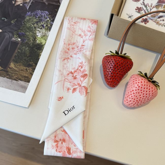 Dior Printed silk twill ribbon KY211-2 Dior Printed silk twill ribbon KY211-2