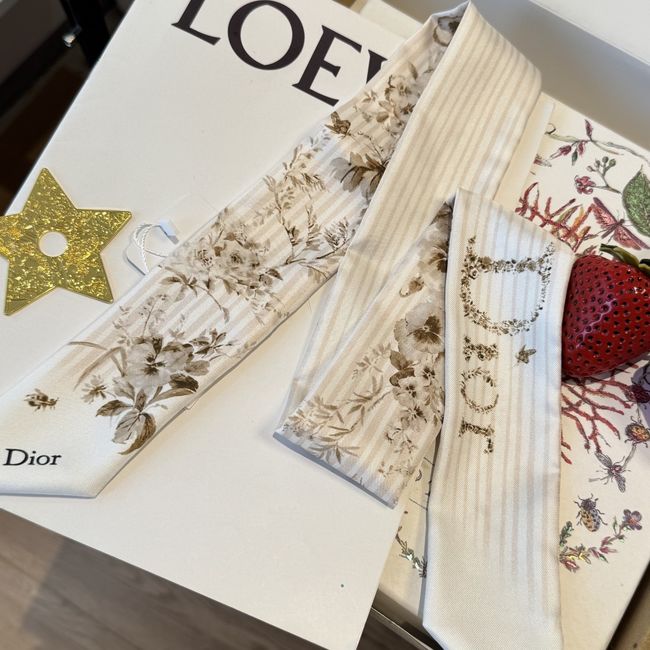 Dior Printed silk twill ribbon KY211-3 Dior Printed silk twill ribbon KY211-3