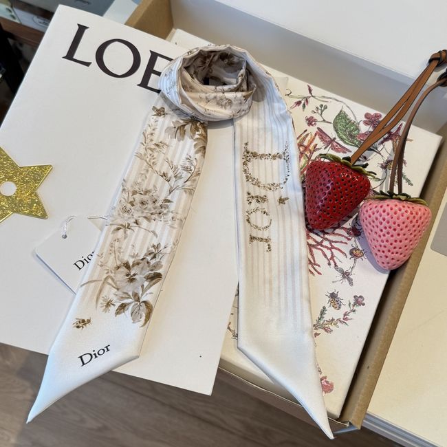 Dior Printed silk twill ribbon KY211-3 Dior Printed silk twill ribbon KY211-3
