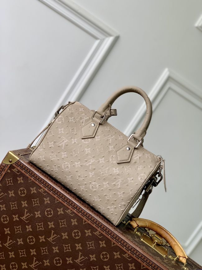 Louis Vuitton Runway Speedy P9 Bandouliere 25 M24426 Dark Beige