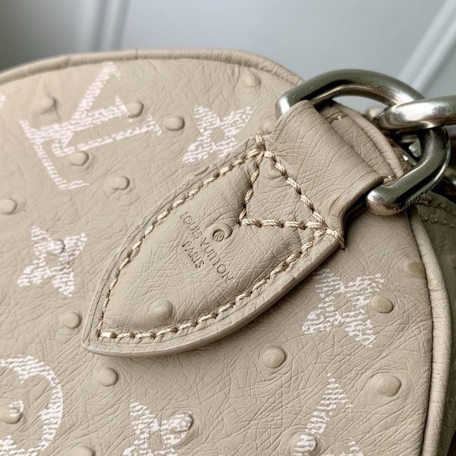Louis Vuitton Runway Speedy P9 Bandouliere 30 M24425 Dark Beige Louis Vuitton Runway Speedy P9 Bandouliere 30 M24425 Dark Beige