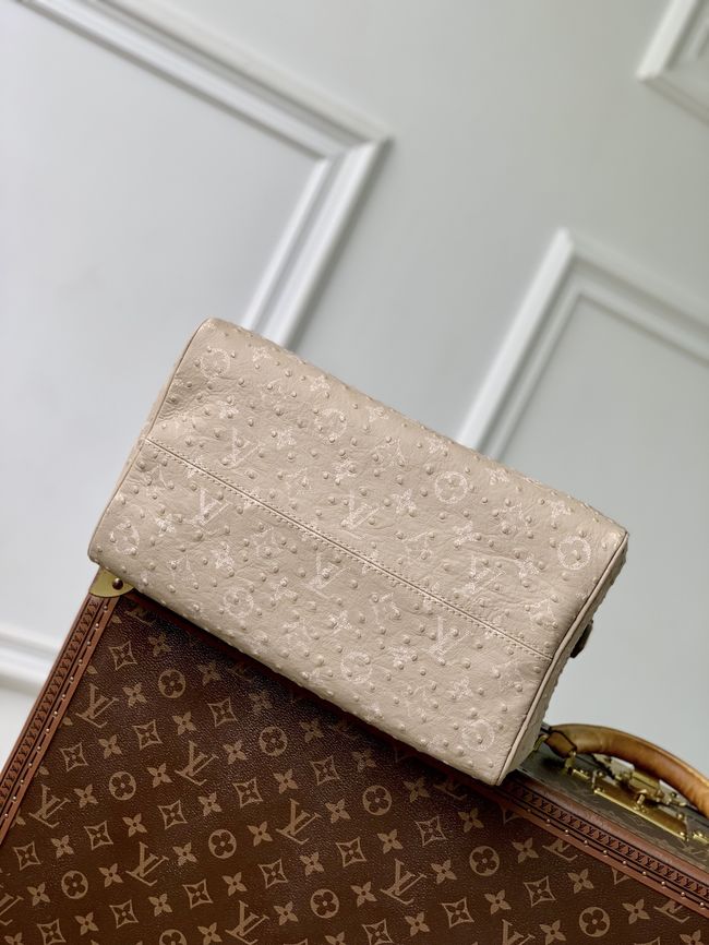 Louis Vuitton Runway Speedy P9 Bandouliere 30 M24425 Dark Beige Louis Vuitton Runway Speedy P9 Bandouliere 30 M24425 Dark Beige