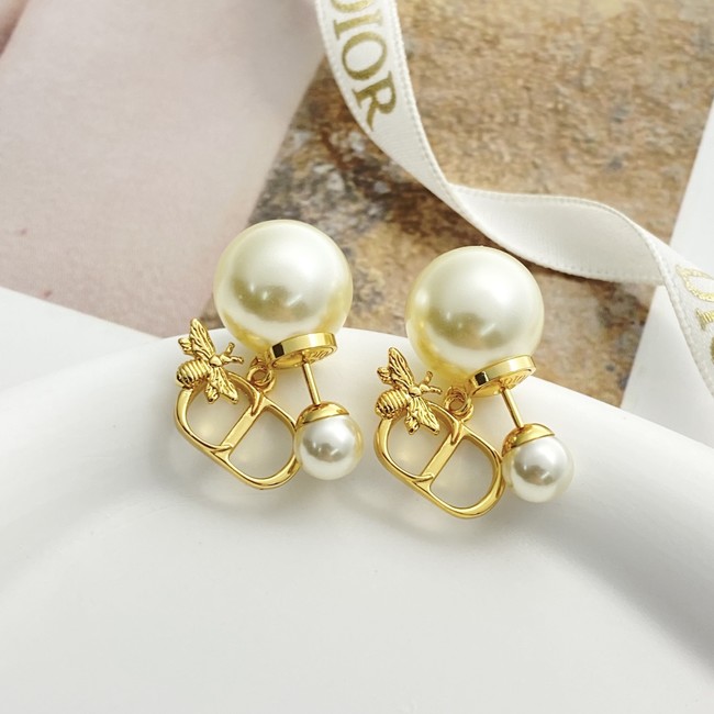 Dior Earrings CE89987 Dior Earrings CE89987