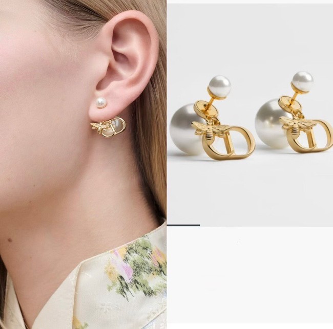 Dior Earrings CE89987 Dior Earrings CE89987