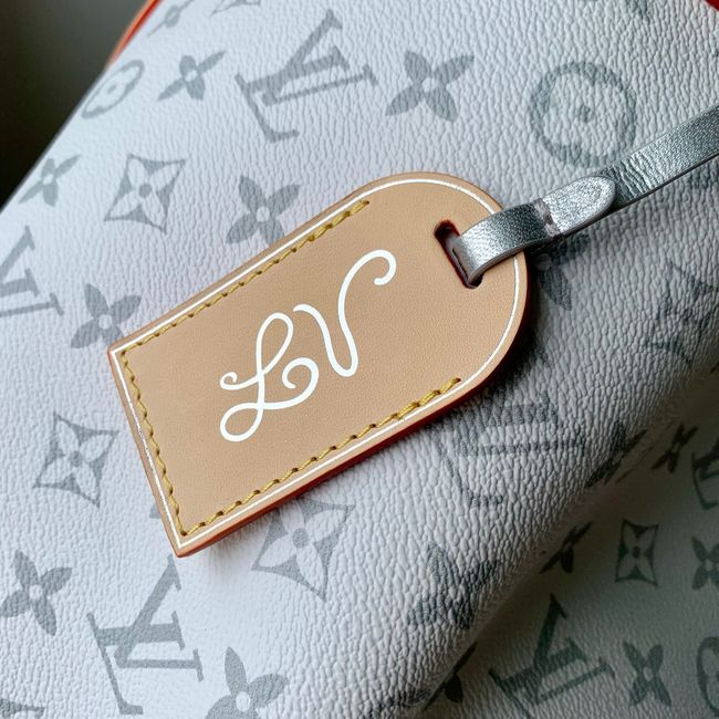 Louis Vuitton New Neverfull MM M3A288